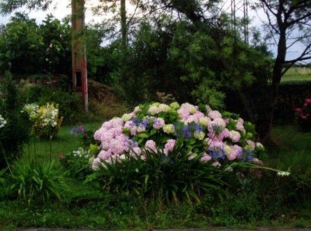 Jardín de una Buena Familia Amiga