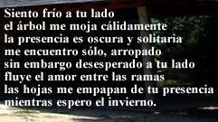 S&iacute; es para t&iacute;