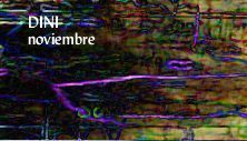 Volver a Noviembre