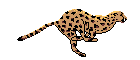 Guepart.gif (7232 bytes)