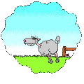 Ovejat.gif (16478 bytes)