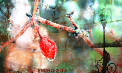 enero 2010